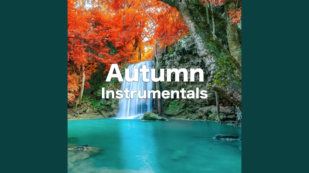 Shape Of You (オルゴール♪ Ver.) bekijken op YouTube Shape Of You (オルゴール♪ Ver.) bekijken op YouTube