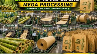 Inside a Modern Bamboo Paper Bag Factory | From Bamboo to Eco-Friendly Paper Bags 🎋📄🛍️