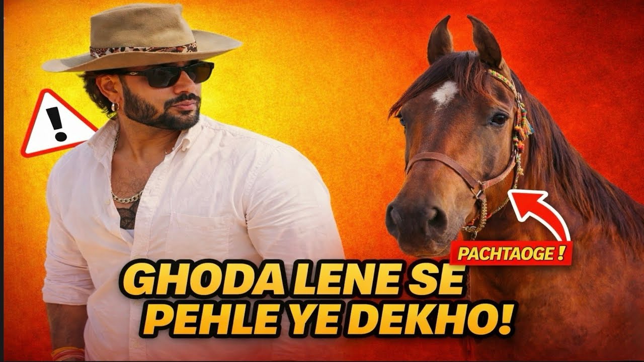 Хотите купить лошадь? 🐎 Если вы сначала не научитесь это распознавать, то потеряете деньги / #лош...