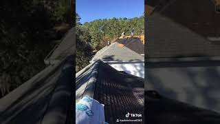 Tallahassee roofing quitando el shingle viejo