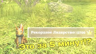 КАК СТАТЬ ПРО В Squirrel simulator online 2 simulator ЗА 5 МИНУТ?? ОТВЕТ ЗДЕСЬ 😎😎😎!