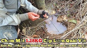 Câu lươn khủng_Chạm mặt cặp lươn quái vật 1.28KG..Run người ao hoang quá nhiều lươn khổng lồ_tập1006