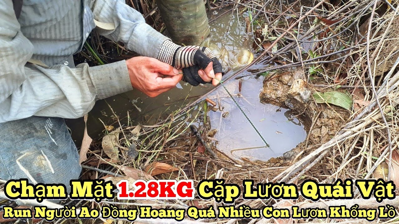 Ловля гигантских угрей_Встреча с парой гигантских угрей весом 1,28 кг. Пожатие рук в диком пруду ...