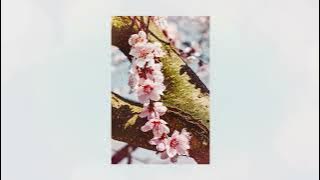 [cute valentines day lofi] to my first love. - yojosummer