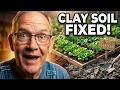Clay Soil Gardening: The Mistakes That Are Killing Your Plants