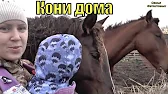 Семья Фетистовых