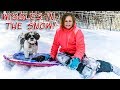 The Assistant and Wiggles have a Fun Outdoor Snow Day Play Date