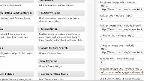 How to insert your social media icons in your Tizish Wordpress Blog sidebar