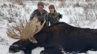 Late Season Shiras moose hunt