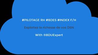 BDUExpert : logiciel de contrôle de gestion sociale de la DSN (BDESE, INDEX HF) screenshot 4