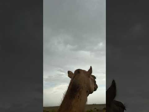 ٥ أكتوبر ٢٠٢٥