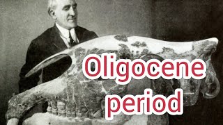 Oligocene period: Evolution of Modern mammalian's Ancestors (Part 20)