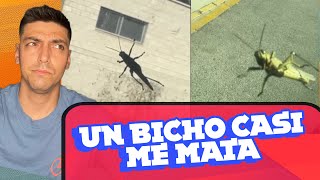 🐛EL DIA QUE UN BICHO ME DIO EL SUSTO DE MI VIDA🤣