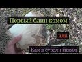 Первое похождение за капами и сувелями. Лето. Посадка