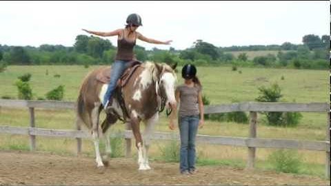 Valley View Ranch  - Four D Cowboy Magic  -    ***For info, price, etc., go to our website***