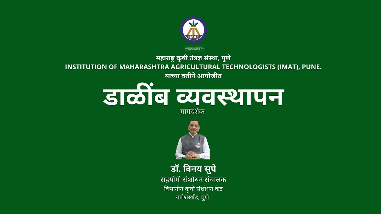 डाळींब व्यवस्थापन