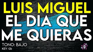 Luis Miguel - El Dia Que Me Quieras - Karaoke Instrumental - Bajo