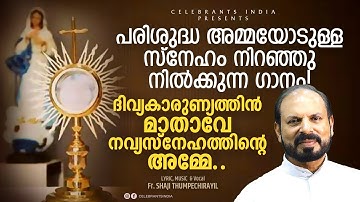 DIVYAKARUNYATHIN MATHAVE | Christian Devotional | Fr Shaji Thumpechirayil | Evergreen Marian Song