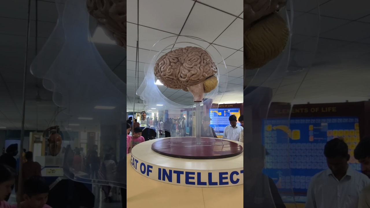 National Science Centre In Delhi