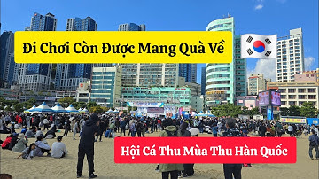 #397|| Lễ Hội Cá Thu Lần Thứ 16 Tại Bãi Biển Songdo BuSanHàn Quốc|cuộc sống hàn quốc|