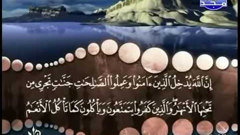 سورة محمد كاملة ترتيل الشيخ محمد صديق المنشاوي رحمه الله من قناة المجد للقرآن الكريم
