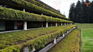 Drone Footage and Crash at Old Weyerhaeuser Campus - Woodbridge Corporate Park
