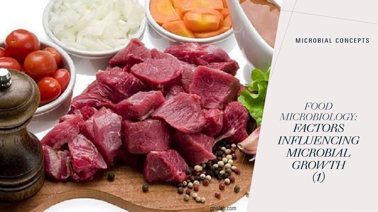 Факторы, влияющие на рост микроорганизмов (1) | Внешние факторы.