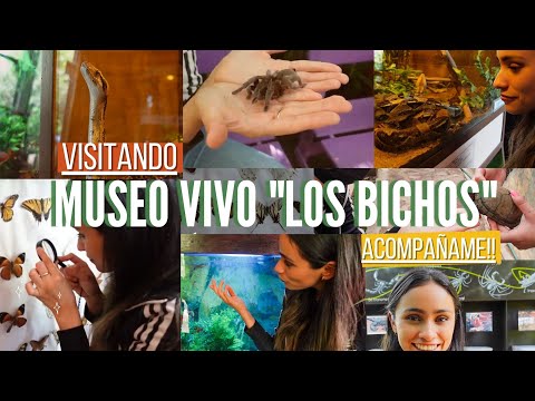 Visitando el MUSEO VIVO LOS BICHOS DE MALINALCO