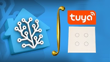 Tuya Touch Switch integration with Homa Assistant