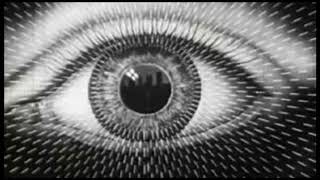 WEEKEND WOLVES - HOLY