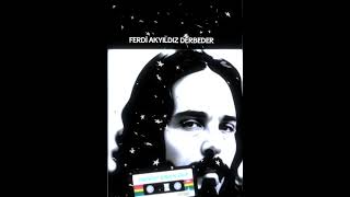 Ferdi̇ Akyildiz Derbeder