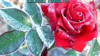 Lauksiu Taves !!!