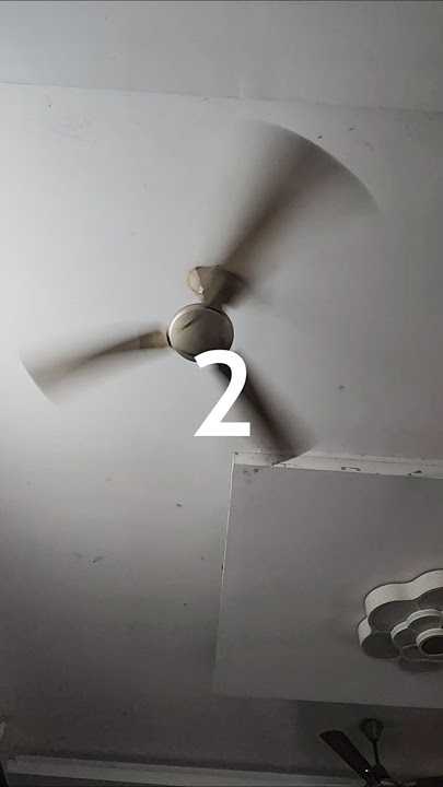 Candy Ceiling Fan