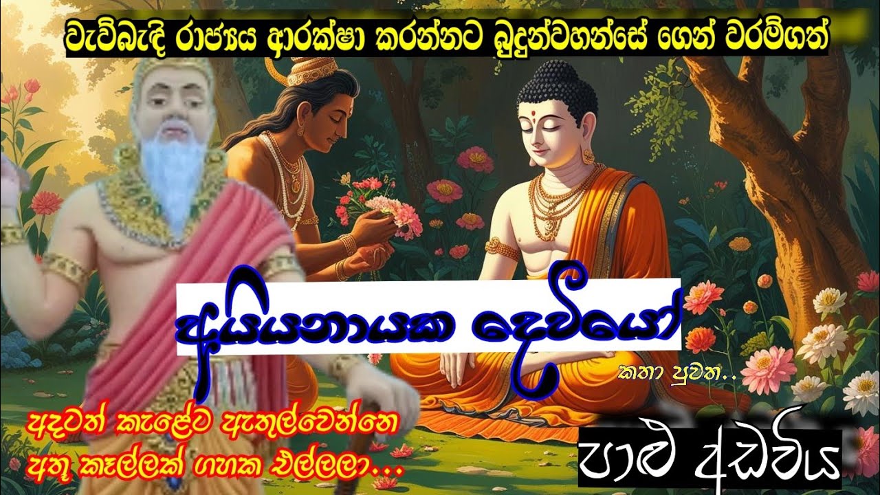 වැව්බැඳි රාජධානිය ආරක්ෂා කරන අයියනායක දෙවියෝ 🙏@පාළුඅඩවිය #ඉතිහාසය #foryou #god #storytime #history 