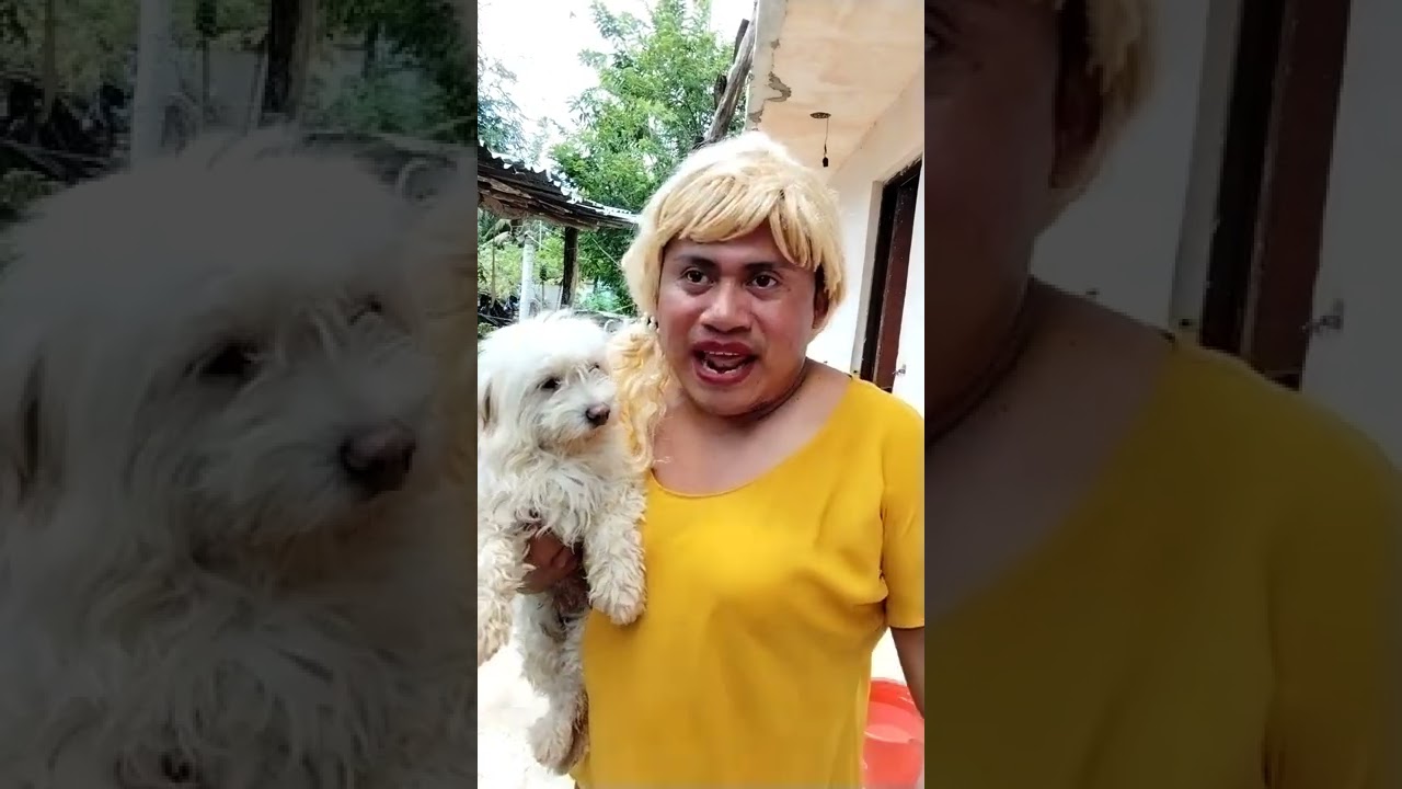 Aliñaron la gallina de Dominga porque no había que comer