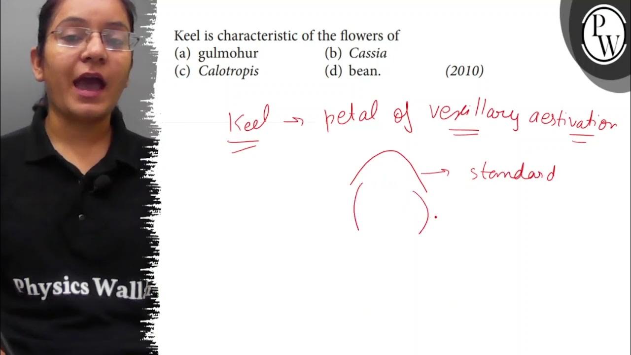 Keel is characteristic of the flowers of (a) gulmohur (b) Cassia (c) Calotropis (d) bean. (2010