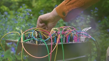 Mountain Flowers, slow blues. Modular Improvisation, texture , ambient, generative music.