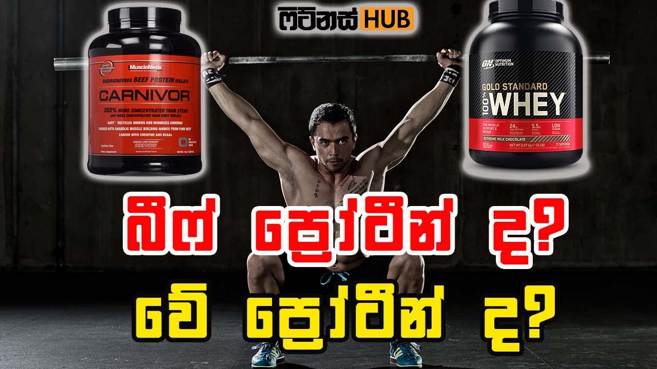 බීෆ් ප්‍රෝටීන් හොද කාටද ?