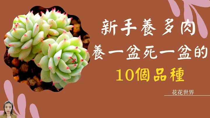 多肉植物養護|新手慎入！，10種多肉植物最難養，養一盆死一盆養一盆爛一盆|花花世界 - 天天要聞