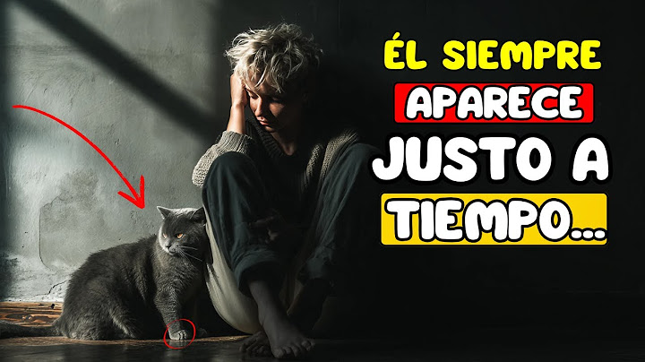 ¿Por qué los gatos aparecen justo cuando más los necesitas?