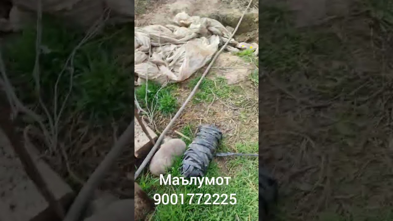 2 марта 2026 г.