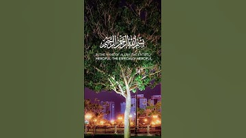 سورة الكوثر القارئ عبدالرحمن مسعد #اكسبلور #قرآن_كريم