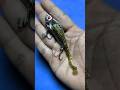 Tips Cara Memasang Umpan Soft Lures