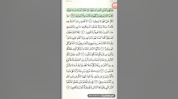 سورة البقرة  من ١٦ حتى. ٢٤