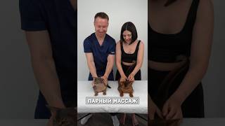 Этот массаж точно понравится твоему котику
