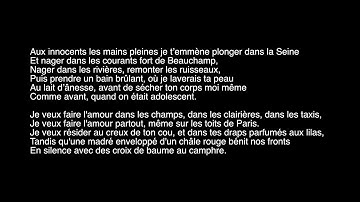 Thumbnail of Les Hautes Lumières - Fauve (Lyrics)