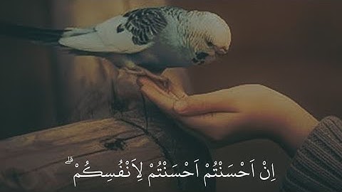 سورة الحجرات | تلاوة رائعة بصوت الشيخ إدريس أبكر | Surah Al-Hujurat