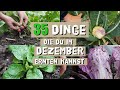 35 Nutzpflanzen die du im Dezember im Garten ernten kannst - Winterernte
