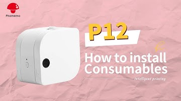 Phomemo P12 Tutorial: How to Install Label Rolls丨Setup Instruction Manual丨How to Use Phomemo P12