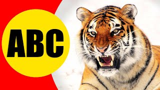 ALPHABET ANIMALS for Children - Learn ABC with Animals for Kids, Preschoolers and Toddlers